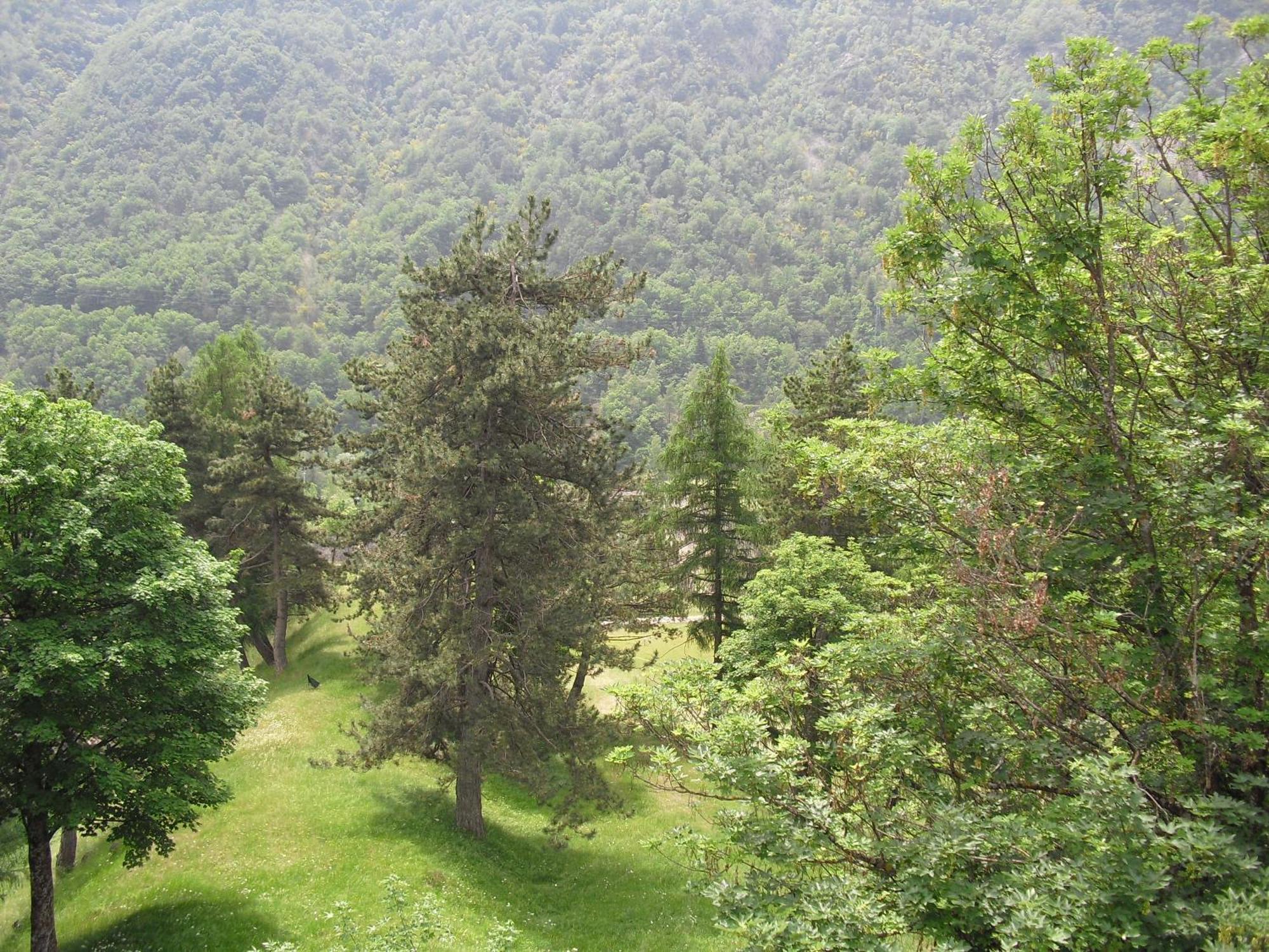 Chalet Monte Nebius Винадио Екстериор снимка