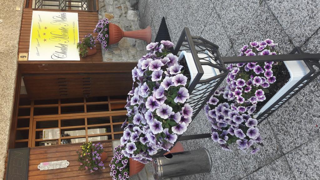 Chalet Monte Nebius Винадио Екстериор снимка