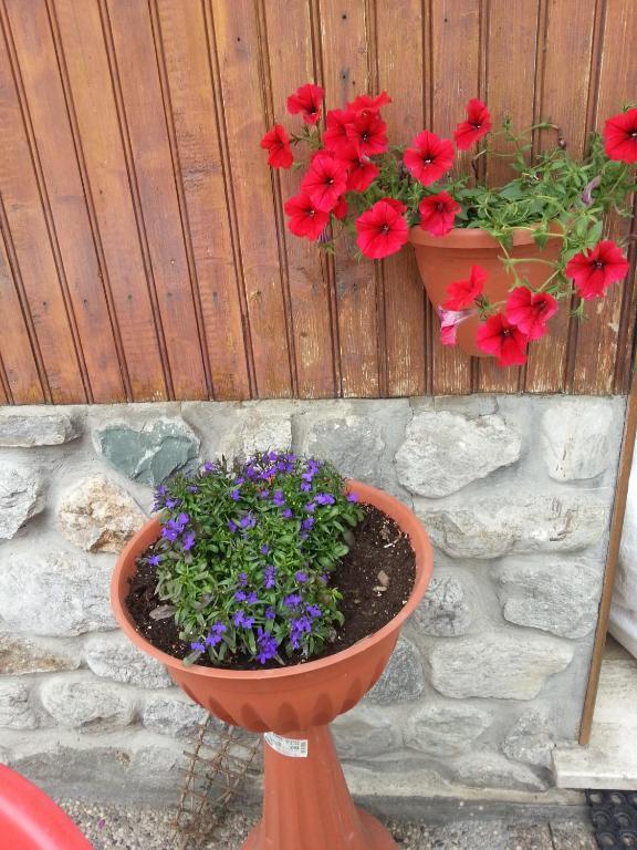 Chalet Monte Nebius Винадио Екстериор снимка